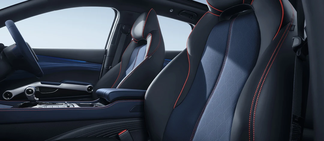 BYD Atto 3 Door Trim Guitar